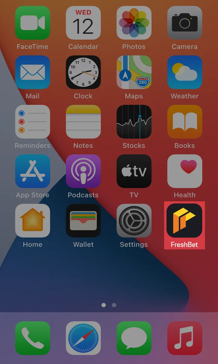 The app icon will appear on your IOS device after the installation is complete.